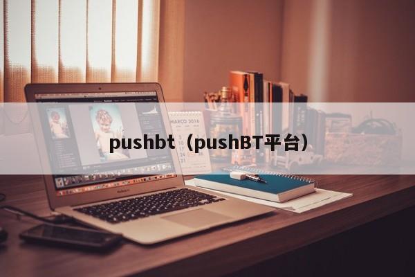 pushbt(pushBT平台)
